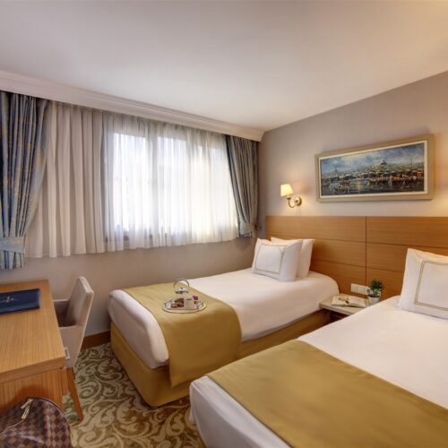 Double or Twin Room